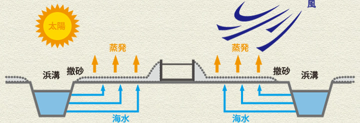 採かんの仕組み