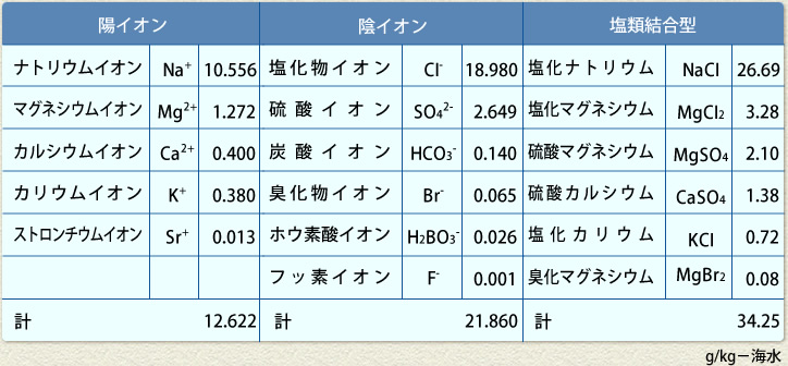 海水の組織