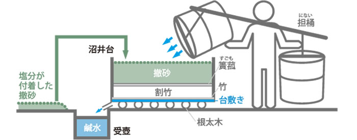 しおとりイメージ